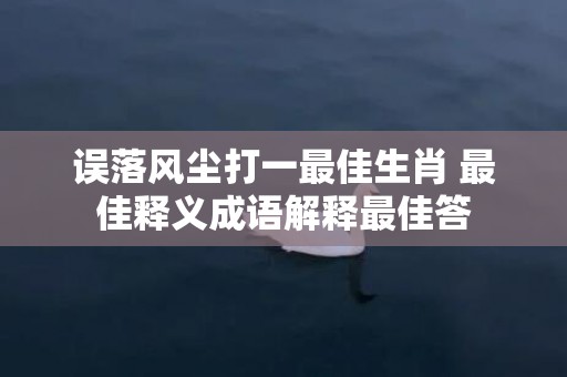 误落风尘打一最佳生肖 最佳释义成语解释最佳答