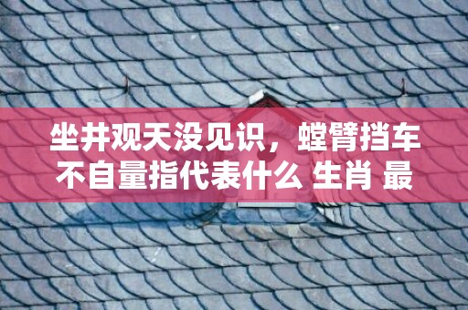 坐井观天没见识，螳臂挡车不自量指代表什么 生肖 最佳释义成语解释最佳答