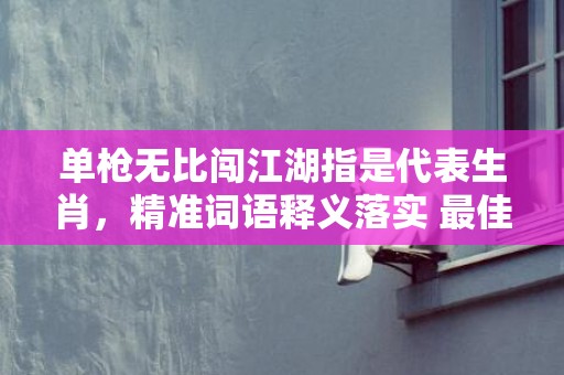 单枪无比闯江湖指是代表生肖，精准词语释义落实 最佳释义成语解释最佳答