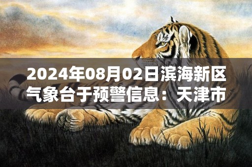 2024年08月02日滨海新区气象台于预警信息：天津市滨海新区发布雷电黄色预警