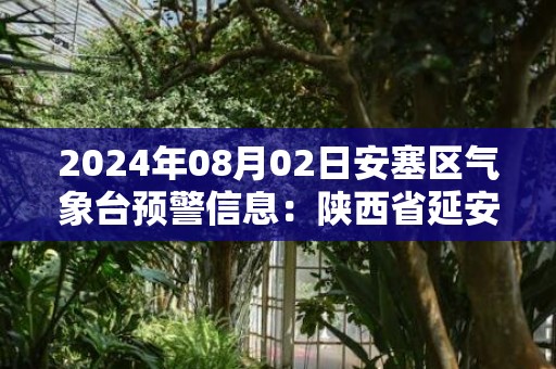 2024年08月02日安塞区气象台预警信息：陕西省延安市安塞区发布冰雹橙色预警