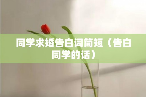 同学求婚告白词简短（告白同学的话）