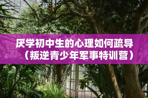 厌学初中生的心理如何疏导（叛逆青少年军事特训营）