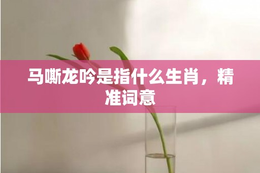 马嘶龙吟是指什么生肖，精准词意