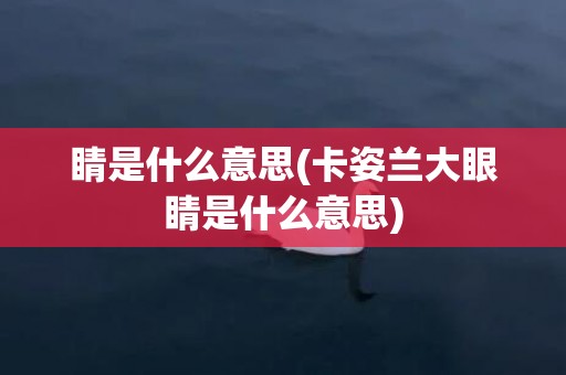 睛是什么意思(卡姿兰大眼睛是什么意思)