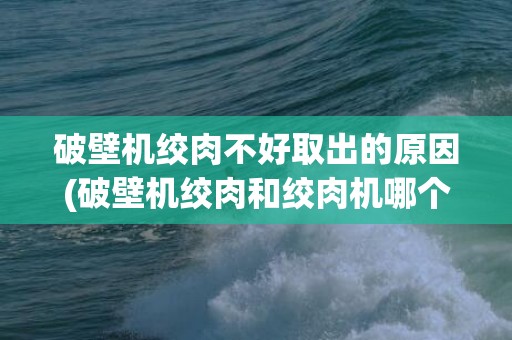 破壁机绞肉不好取出的原因(破壁机绞肉和绞肉机哪个好)