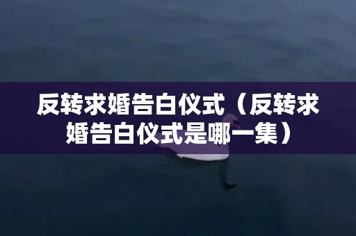 反转求婚告白仪式（反转求婚告白仪式是哪一集）