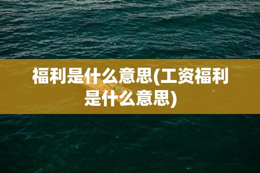 福利是什么意思(工资福利是什么意思)