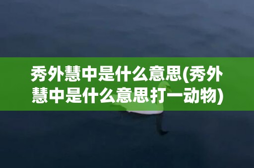 秀外慧中是什么意思(秀外慧中是什么意思打一动物)