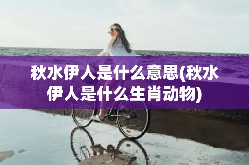 秋水伊人是什么意思(秋水伊人是什么生肖动物)