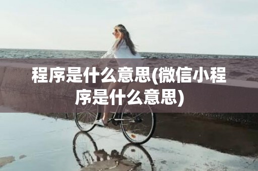 程序是什么意思(微信小程序是什么意思)