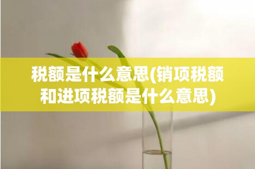 税额是什么意思(销项税额和进项税额是什么意思)