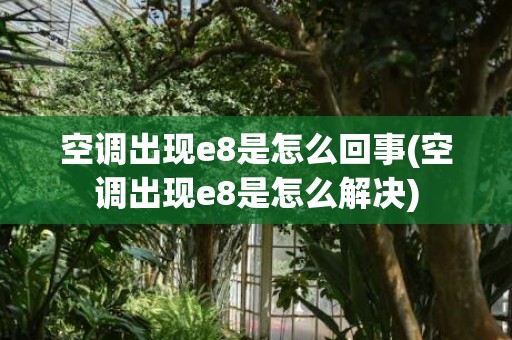 空调出现e8是怎么回事(空调出现e8是怎么解决)