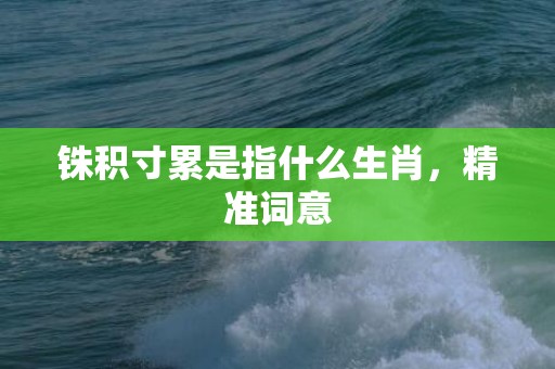 铢积寸累是指什么生肖，精准词意