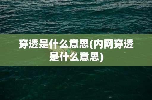 穿透是什么意思(内网穿透是什么意思)