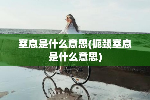 窒息是什么意思(扼颈窒息是什么意思)