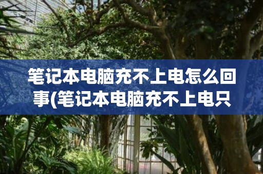 笔记本电脑充不上电怎么回事(笔记本电脑充不上电只能插电使用怎么回事)