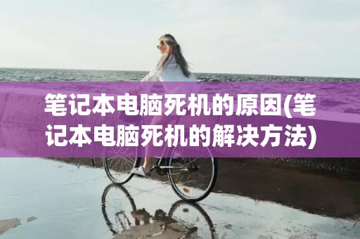 笔记本电脑死机的原因(笔记本电脑死机的解决方法)