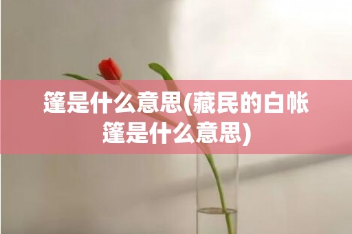 篷是什么意思(藏民的白帐篷是什么意思)