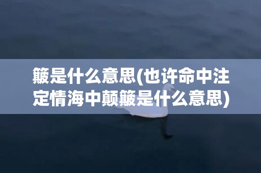 簸是什么意思(也许命中注定情海中颠簸是什么意思)