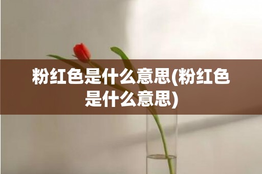 粉红色是什么意思(粉红色是什么意思)