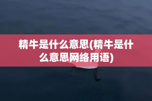 精牛是什么意思(精牛是什么意思网络用语)