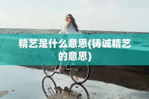 精艺是什么意思(铸诚精艺的意思)