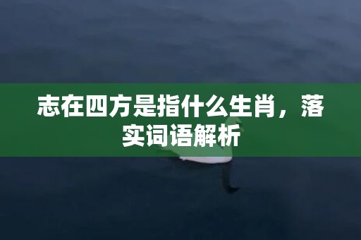 志在四方是指什么生肖，落实词语解析