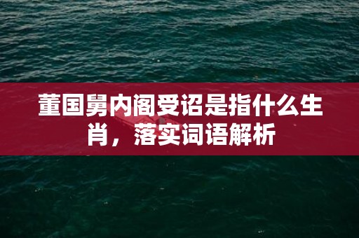 董国舅内阁受诏是指什么生肖，落实词语解析