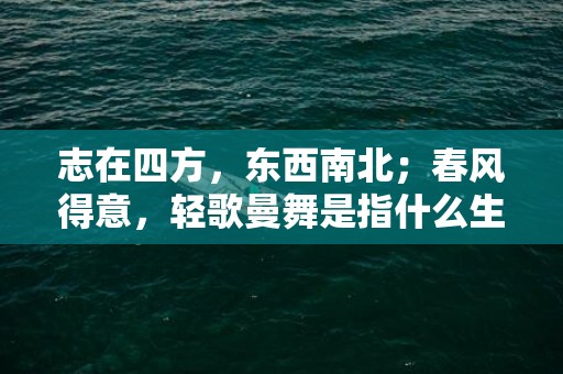 志在四方，东西南北；春风得意，轻歌曼舞是指什么生肖，落实词语解析