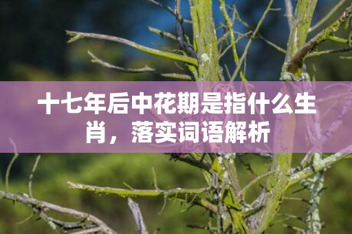 十七年后中花期是指什么生肖，落实词语解析