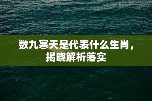 数九寒天是代表什么生肖，揭晓解析落实