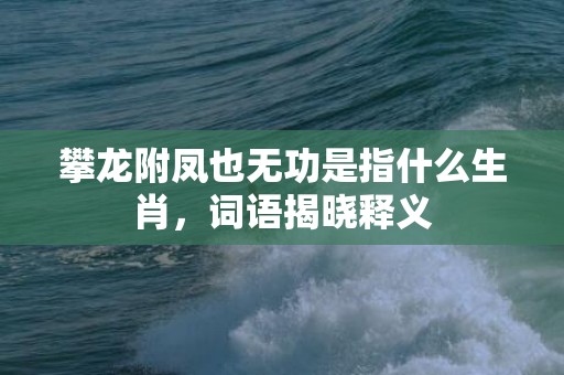 攀龙附凤也无功是指什么生肖，词语揭晓释义