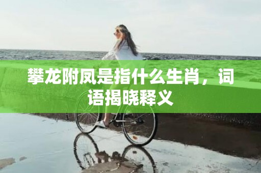 攀龙附凤是指什么生肖，词语揭晓释义