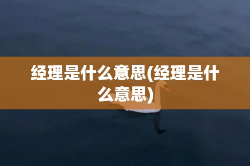 经理是什么意思(经理是什么意思)