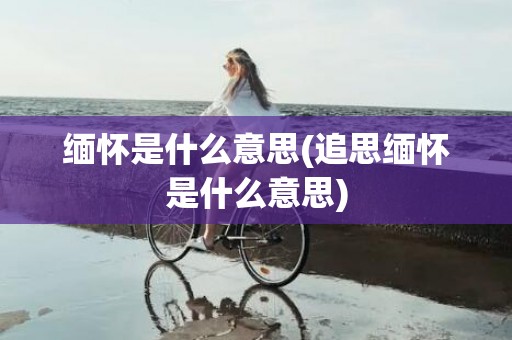 缅怀是什么意思(追思缅怀是什么意思)