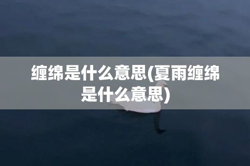 缠绵是什么意思(夏雨缠绵是什么意思)