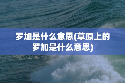 罗加是什么意思(草原上的罗加是什么意思)