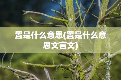 置是什么意思(置是什么意思文言文)