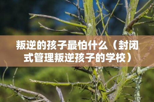 叛逆的孩子最怕什么（封闭式管理叛逆孩子的学校）