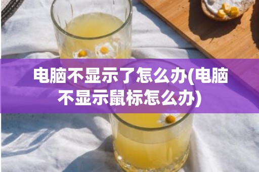 电脑不显示了怎么办(电脑不显示鼠标怎么办)