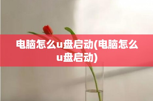 电脑怎么u盘启动(电脑怎么u盘启动)