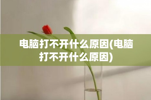 电脑打不开什么原因(电脑打不开什么原因)