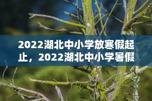 2022湖北中小学放寒假起止，2022湖北中小学暑假放假时间安排