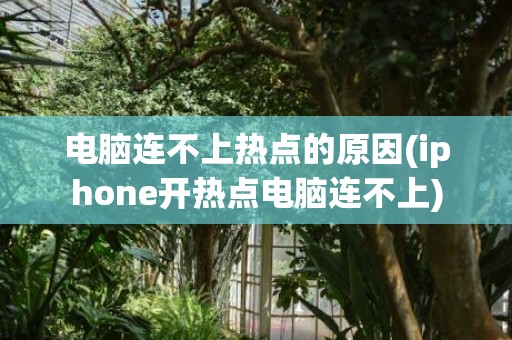 电脑连不上热点的原因(iphone开热点电脑连不上)