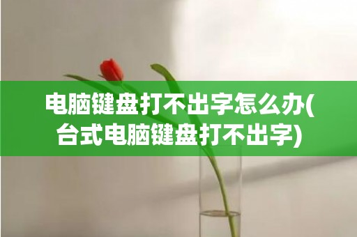 电脑键盘打不出字怎么办(台式电脑键盘打不出字)