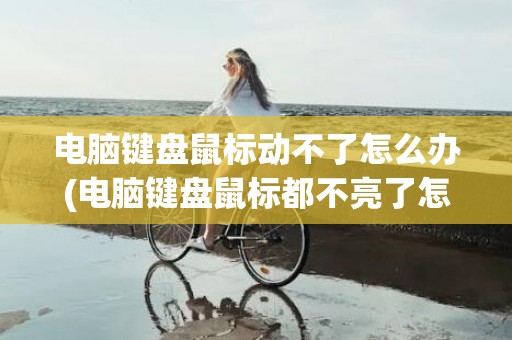 电脑键盘鼠标动不了怎么办(电脑键盘鼠标都不亮了怎么回事)