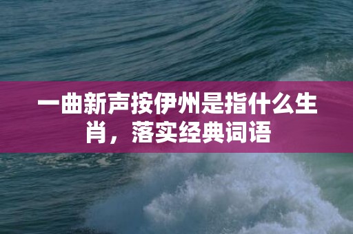 一曲新声按伊州是指什么生肖，落实经典词语