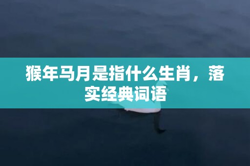 猴年马月是指什么生肖，落实经典词语