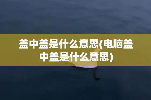 盖中盖是什么意思(电脑盖中盖是什么意思)